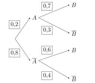 Cho sơ đồ hình cây như hình bên. Xét tính đúng sai của các khẳng định sau: